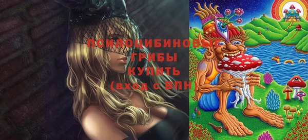 гидра Алексеевка