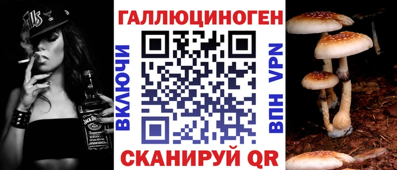 hydra tor  Чухлома  Псилоцибиновые грибы GOLDEN TEACHER 